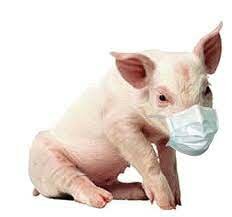 Pandemia de Gripe Porcina