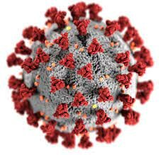 China informa a la OMS de una nueva enfermedad coronavirus en Wuhan, China
