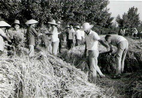Colectivización agraria y estatalización de la economía