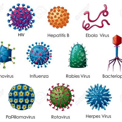 Timeline: Todo sobre los virus -- Corregido