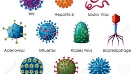 Timeline: Todo sobre los virus -- Corregido
