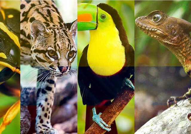 Colombia Diversidad Biótica