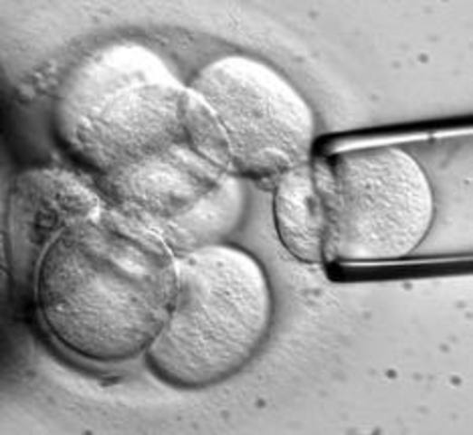 Stem Cell Bill Vetoed