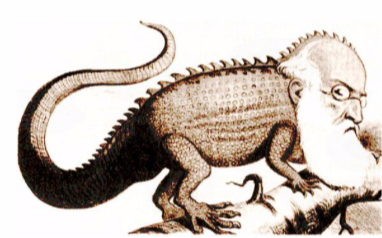 Riforme e trasformismo