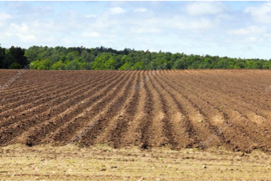 Battle for Land and Battle for the Lira