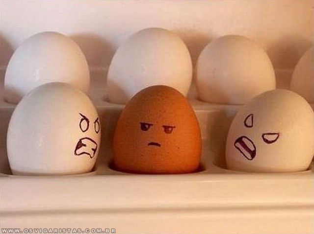 EUA: Lei admite igualdade de oportunidade em empresas que  tivessem contrato com o governo