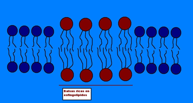 Modelo de Simons e Ikonen