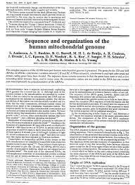 Secuenciación de un genoma mitocondrial humano (S. Anderson, S. G. Barrell, A. T. Bankier)