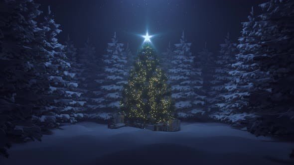 A grande chegada do Cavaleiro à sua casa.