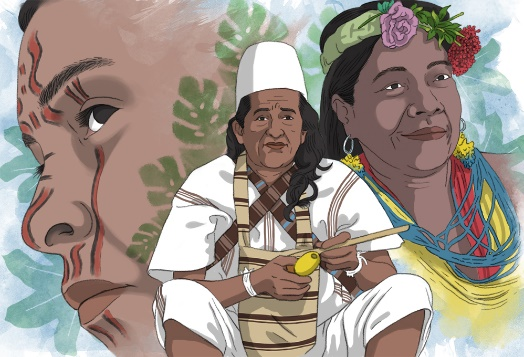 Creación de programa especial de atención de pueblos indígenas.