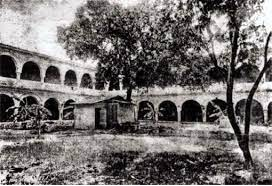 Primeros programas Universitarios