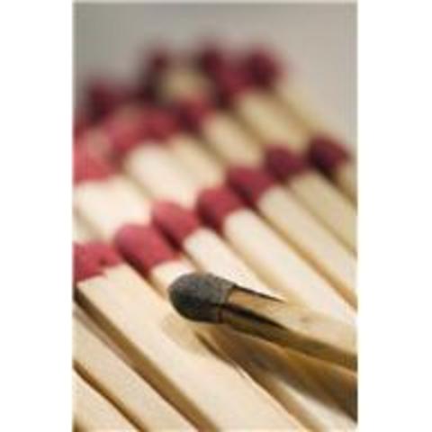 Burning books and burying scholars.