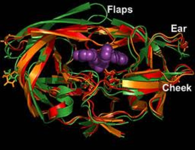 HIV Protease Inhibitors