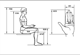 Anthropometry