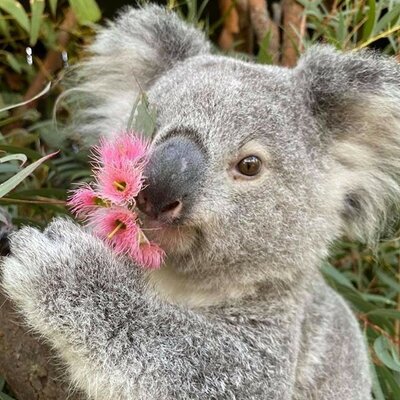 Timeline: Final Project - GEOL 102