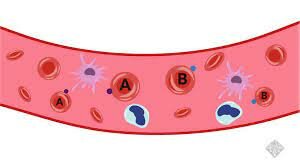 ABO blood typing