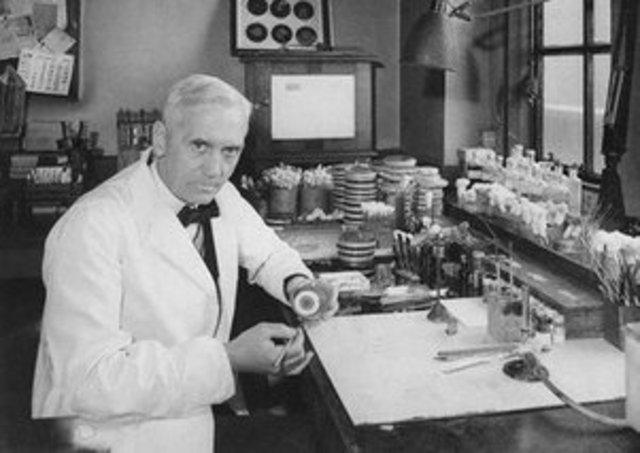The Discovery of Penicillin