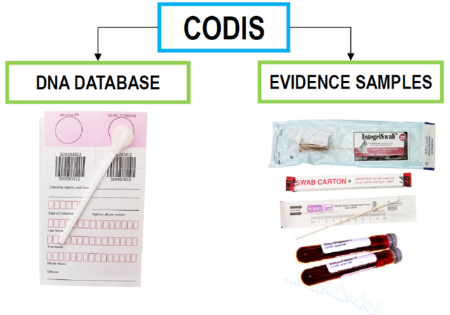 Combined DNA Index System (CODIS)