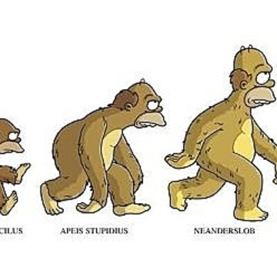 Timeline: La hominizacion