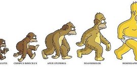 Timeline: La hominizacion
