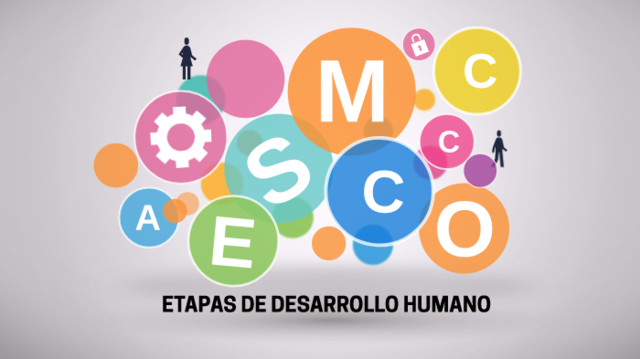 SULLlVAN -Desarrollo