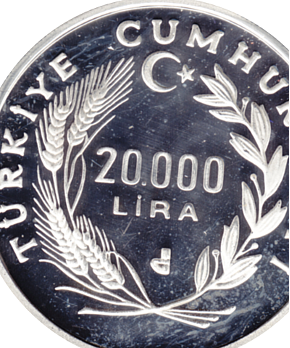 Battle for Land and Battle for the Lira