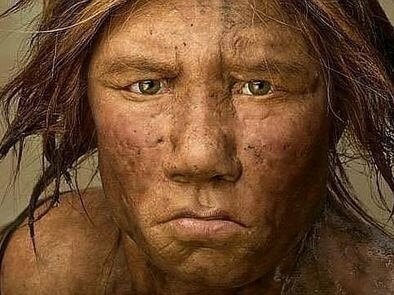 Homo sapiens sapiens