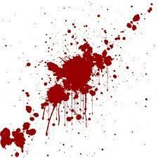 First modern study on blood spatter analysis