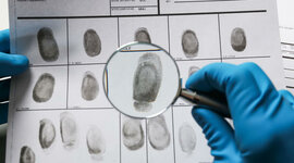 Timeline: The Path to Modern Forensic Science