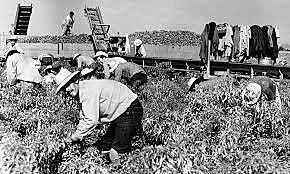 se facultó al Ejecutivo en extinguir las oficinas a discreción