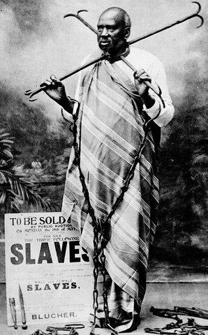 The Abolition Movement