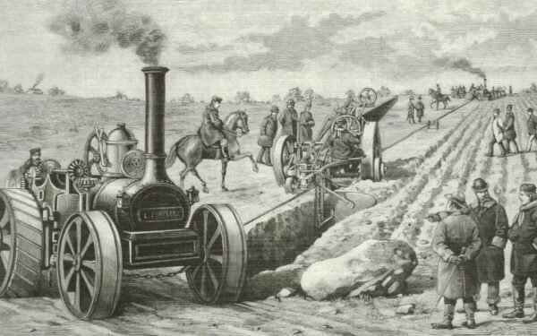 EXPLOTACIÓN ECONÓMICA SISTEMÁTICA