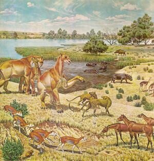 Phanerozoic Aeon / (https://flexbooks.ck12.org/cbook/ck-12-middle-school-earth-science-flexbook-2.0/section/19.3/primary/lesson/life-of-the-phanerozoic-eon-ms-es)