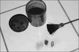 Powder on Fingerprints