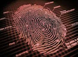 Fingerprints Found Unique