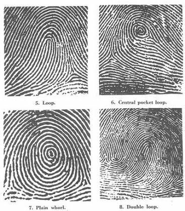 Fingerprint ID Used in Crime
