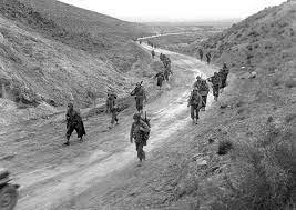 The Allies' Campaign in North Africa