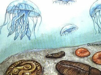 Chi viveva in quell'era?