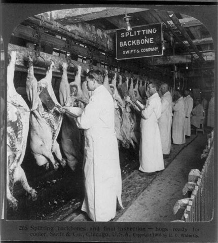 Pure Food and Drug Act, Meat Inspection Act