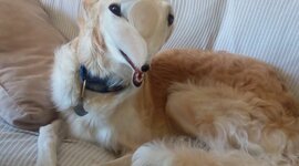 Timeline: Vietnam and the Cold War - Hartley