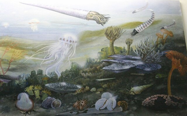 Ordovician period 488Ma ago - 444Ma ago / (https://www.nps.gov/articles/000/ordovician-period.htm)