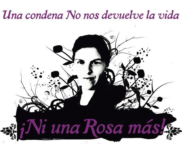 Feminicidio de Rosa Elvira Cely