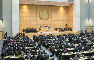 PRIMERA ASAMBLEA MUNDIAL DE LA SALUD SIGLO XX