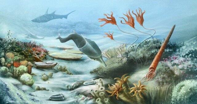 Silurian period 444Ma ago - 416Ma ago / (https://www.livescience.com/37584-paleozoic-era.html)