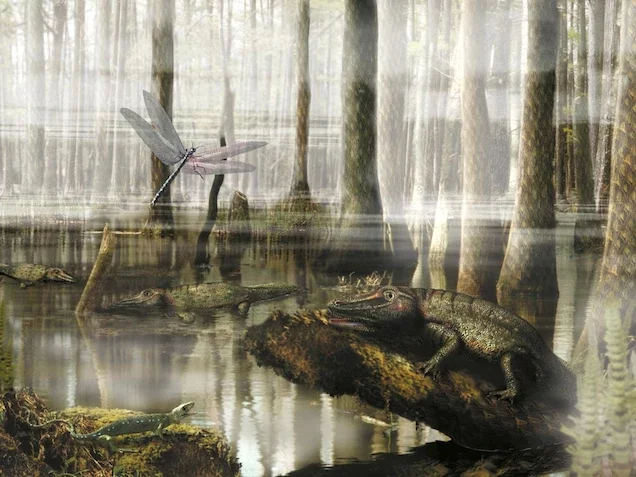 Carboniferous period 359Ma ago - 299Ma ago / https://www.nationalgeographic.com/science/article/carboniferous