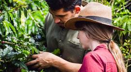 Timeline: La extensión rural en Colombia Por. Jaime Arley Guerrero Fajardo