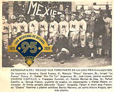 Liga profesional de beisbol