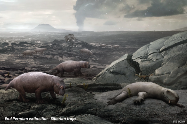 Permian period 299Ma ago - 251Ma ago