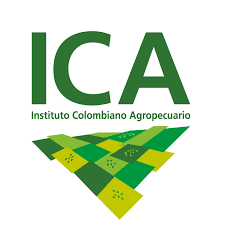 ICA