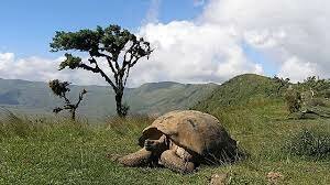 Declaración de Galápagos, Cumbre de autoridades de turismo y de ambiente de ibero América y el caribe, Puerto Ayora, Galápagos, Ecuador